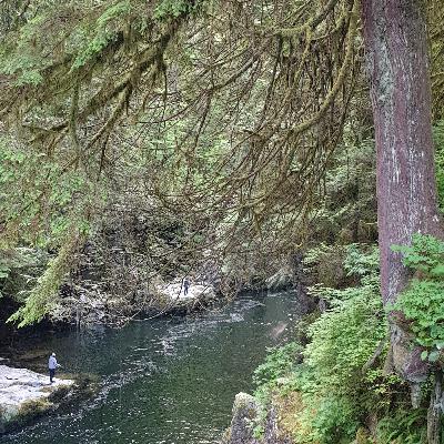 دو سه مورد که میتونه سرآغاز تغییرات خیلی خوبی در زندگی برامون باشه.