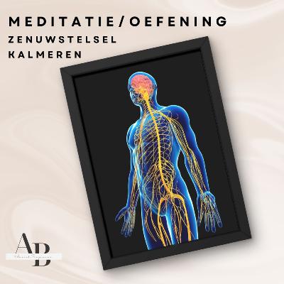 Zenuwstelsel kalmeren - een reset Zenuwstelsel kalmeren - een reset