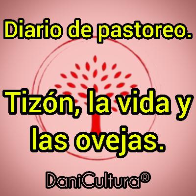 Diario de pastoreo. Tizón, la vida y las ovejas. Diario de pastoreo. Tizón, la vida y las ovejas.