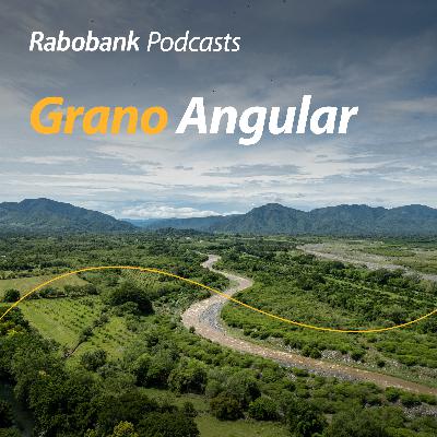 Ley de aguas, brote de PPA en España y mucho más