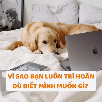 Vì Sao Bạn Luôn Trì Hoãn Dù Biết Mình Muốn Gì? | Saturday Podcast Vì Sao Bạn Luôn Trì Hoãn Dù Biết Mình Muốn Gì? | Saturday Podcast