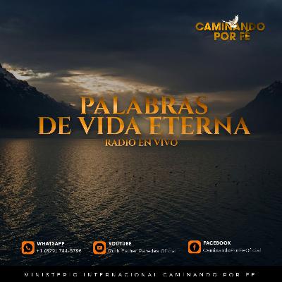 EP12 | Predicas & Estudios: PALABRAS DE VIDA ETERNA | LA NECESIDAD DE UN CARACTER DÓCIL | Hechos 18:24-28 | Maestro Evangelista Victor Altagracia Herrera