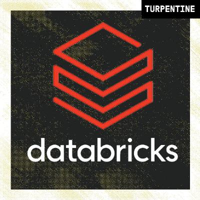Databricks Deep Dive with Tomasz Tunguz: AI, Data Catalogs, and Compute