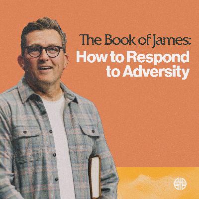 How to Respond to Adversity How to Respond to Adversity