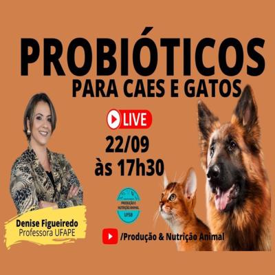 Probióticos para Cães e Gatos | Dra Denise Figueiredo, UFAPE