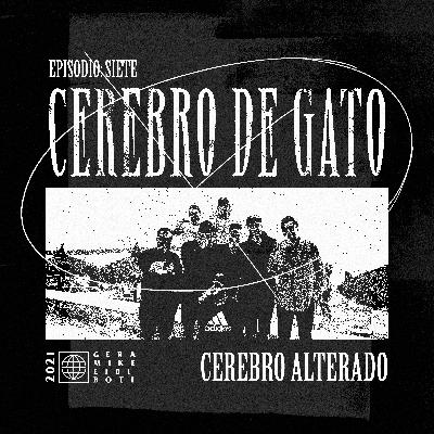 Cerebro De Gato - Episodio 7 - Cerebro Alterado