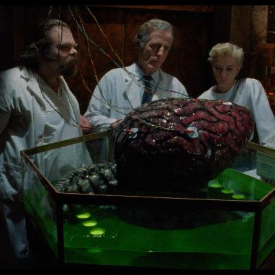 391. The Brain (1988) 391. The Brain (1988)