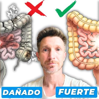 La CAUSA oculta de tus PROBLEMAS DIGESTIVOS La CAUSA oculta de tus PROBLEMAS DIGESTIVOS