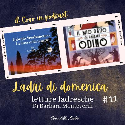 Ladri di domenica #11