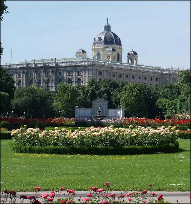 Rethinking the Quintessential Lawn Rethinking the Quintessential Lawn