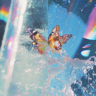 Waiting So Long / DAPHNI feat. CARIBOU