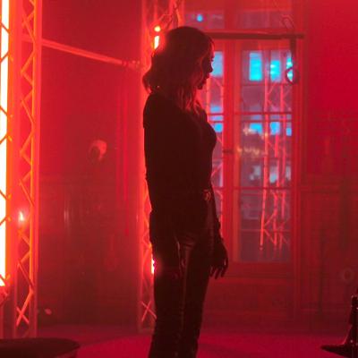 I Kassen #1221: Wildcat (2025) I Kassen #1221: Wildcat (2025)