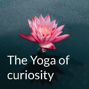 Sri Vidya or Sri Chakra worship, a primer Sri Vidya or Sri Chakra worship, a primer