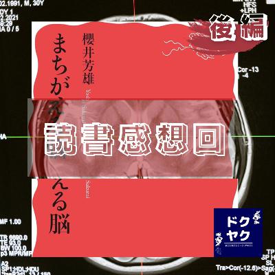 #095 |貝ひも味|【読書感想回】まちがえる脳(後編) #095 |貝ひも味|【読書感想回】まちがえる脳(後編)