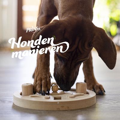 Afl. 24: Hersenwerk 2.0, meer zelfvertrouwen en minder kapotte speeltjes