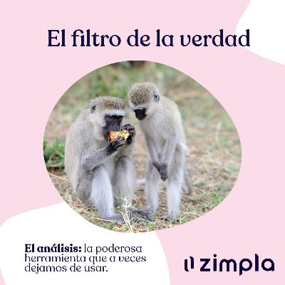 006 · Lo que no nos enseñaron sobre cómo aprender: El filtro de la verdad