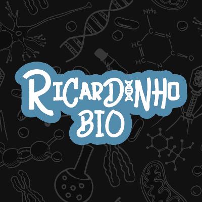 #6 - Proteínas