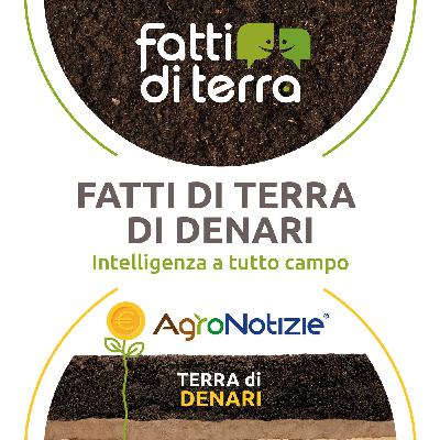 Intelligenza a tutto campo - puntata speciale