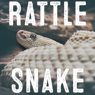 Western Diamondback Rattlesnake - The Poisoncast #08