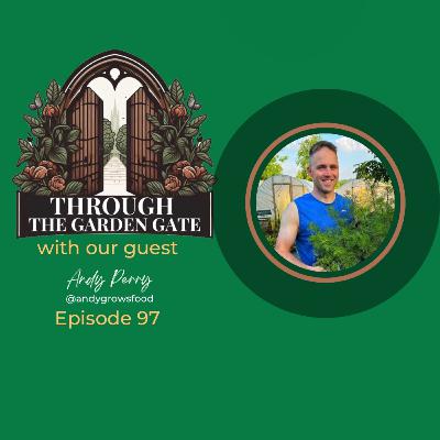Episode 97 : Andy Perry 🌶️