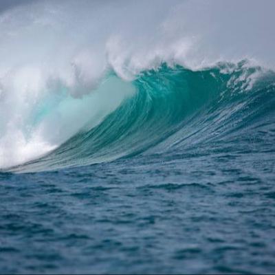 256_Ocean Acidification: The Silent Threat Beneath the Waves