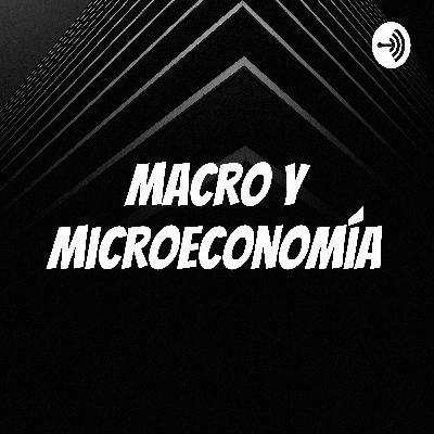 Macroeconómica y microeconomía