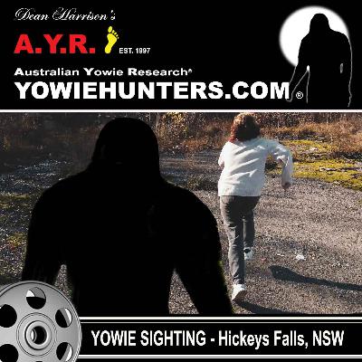 Yowie Sighting at Hickey's Falls, New South Wales - 2010