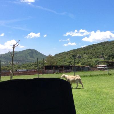 42 Como levantarse del Fracaso