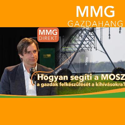 Egy új pozícióba bekerülni mindig alázatot követel | Koncz Máté, a MOSZ elnöke | MMG (184)