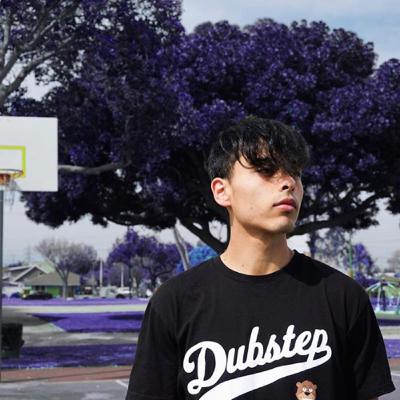 Roach Vision (@r0ach.vision)