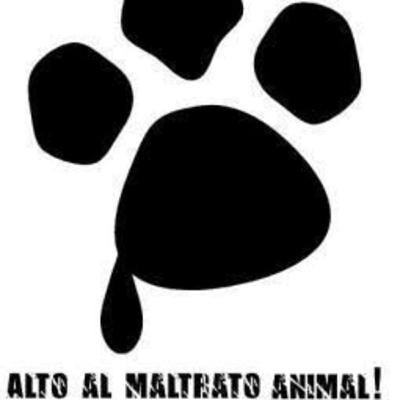 Podcast “El maltrato animal”