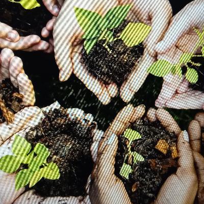 Mi podcast sobre la ecológia y nuestro actuar cristiano.