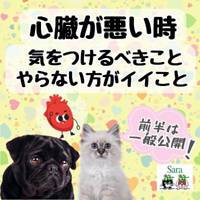 #1005. 心臓が悪い時に気をつけること & やらない方がイイことは？（質問に回答）