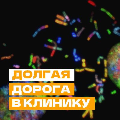 Долгая дорога в клинику Долгая дорога в клинику