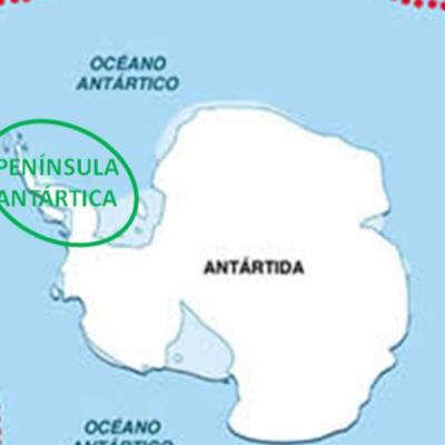 Los animales de la antartica part2 Los animales de la antartica part2