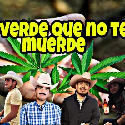 Legalización de la verde que no te muerde