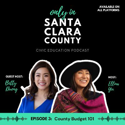 Episode 3: County Budget 101