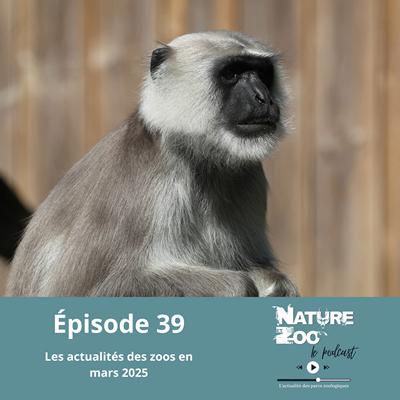 Épisode 39 (ACTU) - Les actualités en mars 2025
