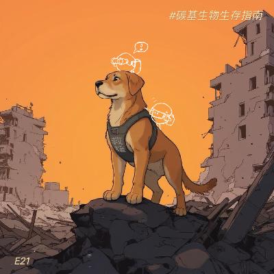 E21 用人类科学翻开狗狗的一生：人们叫我“宠物”，也叫我“英雄”
