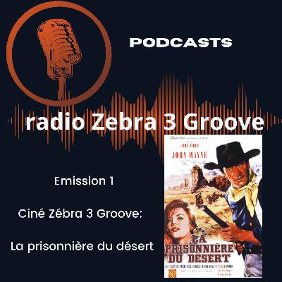 Radio Zébra 3 Groove Emission Ciné Zébra 3 : la prisonnière du désert Radio Zébra 3 Groove Emission Ciné Zébra 3 : la prisonnière du désert