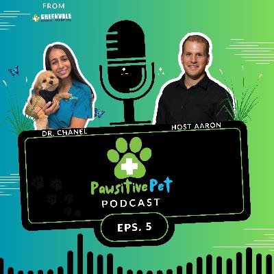 Dr. Chanel Samo - Episode 5 Emergency Surgery and First Aid Advice Dr. Chanel Samo - Episode 5 Emergency Surgery and First Aid Advice