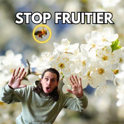 7 arbres mellifères indispensables pour nourrir les pollinisateurs