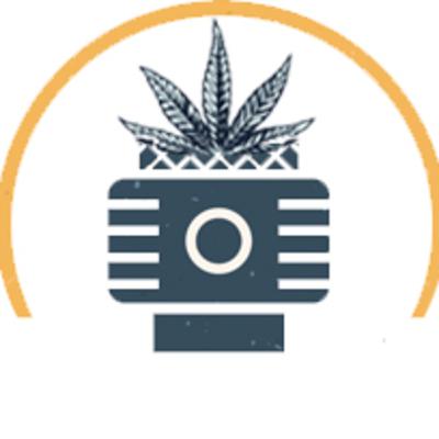 Candidato a senador USA fuma marihuana - Marihuana como Alimento - ¿Quién vende mas mota? Candidato a senador USA fuma marihuana - Marihuana como Alimento - ¿Quién vende mas mota?