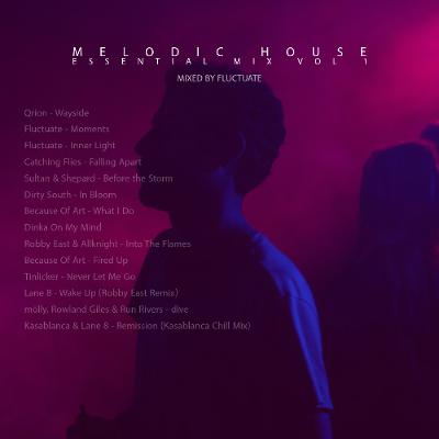 Melodic House Essentials Vol 1 - Ft. Lane 8, Robby East, Because Of Art, Fluctuate