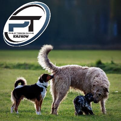 Tom Brady Reveals His New Dog Is a Clone