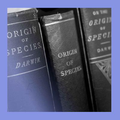 Battle of the texts: which books changed the world?