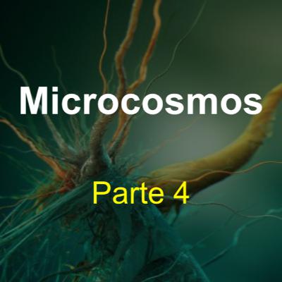 Microcosmos (parte 4)