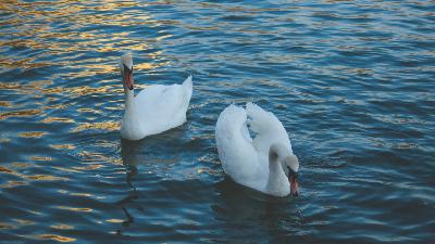 Наталья и Иван Долгоруковы