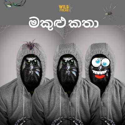 Awareness - Episode 103