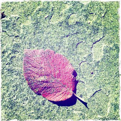 Enjoy Being Enjoy Being